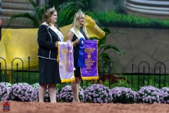 A109796-29631 A109796-29631