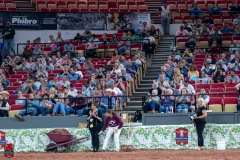 A109799-29633 A109799-29633