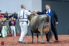 A109827-29635 A109827-29635