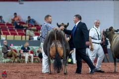 A109832-29636 A109832-29636