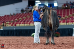 A109847-29639 A109847-29639