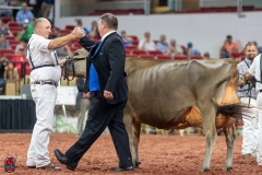 A109863-29443 A109863-29443