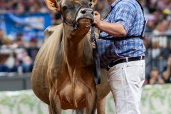 A108553-29444 A108553-29444