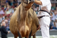 A108560-29446 A108560-29446