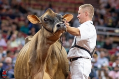 A108563-29447 A108563-29447