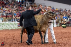 A108567-29451 A108567-29451