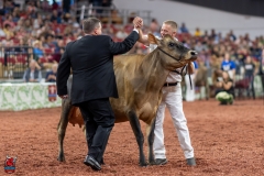 A108568-29448 A108568-29448