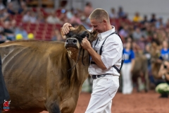 A108596-29449 A108596-29449