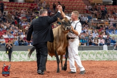 AR307892-29450 AR307892-29450