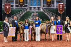 AR307937-29452 AR307937-29452