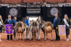 AR307940-29453 AR307940-29453