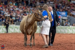 A108510-29433 A108510-29433