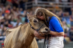 A108525-29434 A108525-29434