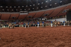 AR307865-29439 AR307865-29439