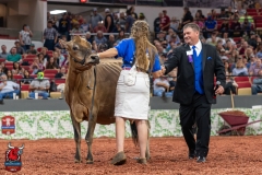 AR307875-29442 AR307875-29442