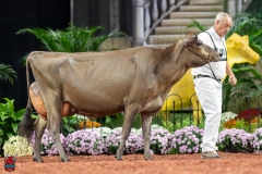 A107970-29372 A107970-29372