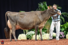 A107983-29373 A107983-29373