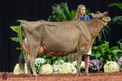 A108007-29375 A108007-29375