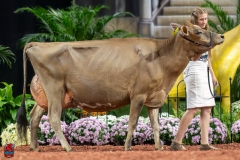 A108010-29376 A108010-29376