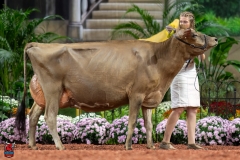 A108016-29377 A108016-29377