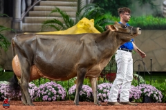 A108036-29379 A108036-29379