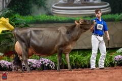 A108048-29380 A108048-29380