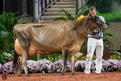 A108058-29381 A108058-29381