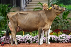 A108069-29382 A108069-29382