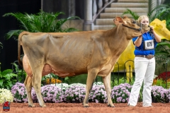 A108103-29384 A108103-29384