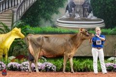 A108110-29385 A108110-29385