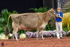 A108119-29386 A108119-29386