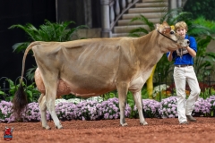 A108126-29387 A108126-29387