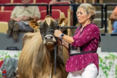 A108137-29388 A108137-29388