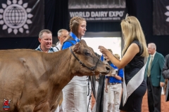 AR301300-29394 AR301300-29394