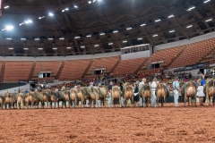 AR301306-29395 AR301306-29395