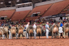 AR301308-29396 AR301308-29396