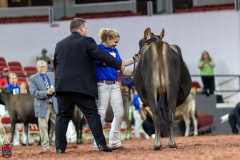 2A9A0104-Edit 2A9A0104-Edit