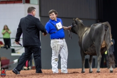 2A9A0106-Edit 2A9A0106-Edit