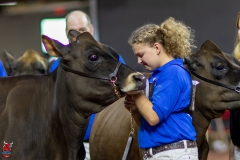 2A9A0120-Edit 2A9A0120-Edit