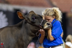 2A9A0129-Edit 2A9A0129-Edit