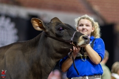 2A9A0130-Edit 2A9A0130-Edit