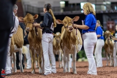 2A9A0134-Edit 2A9A0134-Edit