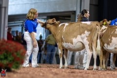 2A9A0139-Edit 2A9A0139-Edit