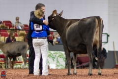 2A9A0157-Edit 2A9A0157-Edit