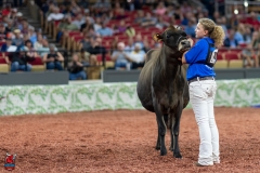 A104268-29163 A104268-29163