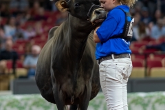 A104270-29166 A104270-29166