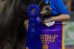 A104363-29172 A104363-29172