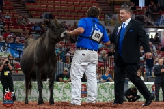 AR300825-29157 AR300825-29157