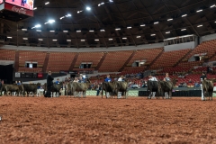 AR300851-29162 AR300851-29162