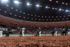 AR300853-29164 AR300853-29164